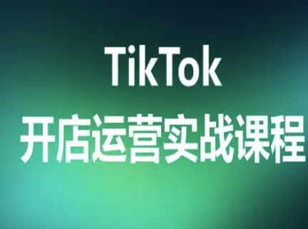 TikTok开店运营实战课程,TK跨境电商实操全流程-网创副业教程