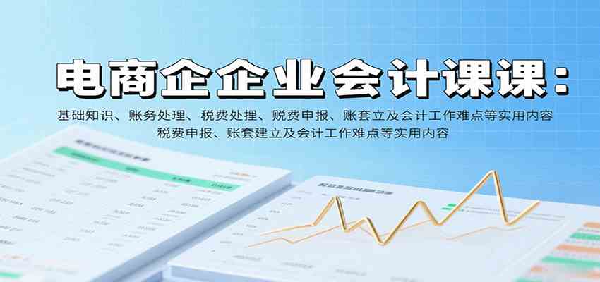 电商企业会计课:基础知识、账务处理、税费申报、账套建立及会计工作难点等实用内容-网创副业教程