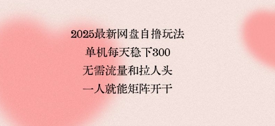 2025最新网盘自撸玩法，单机每天稳下3张，无需流量和拉人头，一个人就可轻松矩阵，全网独一份【揭秘】-网创副业教程