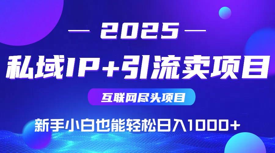 (15531期)2025网创尽头项目,私域IP+引流,新手小白也能在家日入1000+-网创副业教程