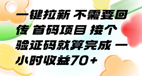 一键拉新 不需要回传 首码项目 接个验证码就算完成 一小时收益70+【揭秘】-网创副业教程