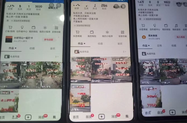 最新抖音起号涨粉技术,亲测2天千粉,不花一分钱,全流程拆解-网创副业教程