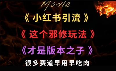 最近小红书引流这个邪修玩法才是版本之子,很多赛道早用早吃肉-网创副业教程