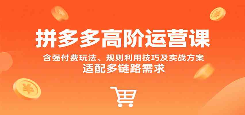 拼多多高阶运营课，含强付费玩法、规则利用技巧及实战方案，适配多链路需求-网创副业教程