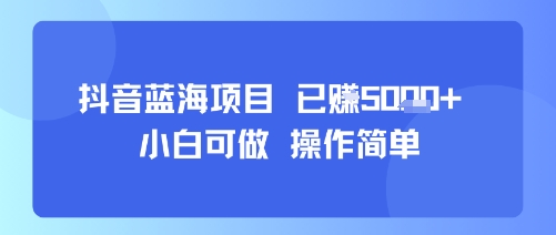 抖音蓝海项目,小白可做,操作简单,可批量制作,已挣5k+-网创副业教程