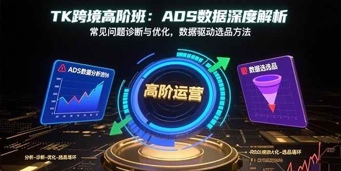 (15809期)TK跨境高阶班:ADS数据深度解析,常见问题诊断与优化,数据驱动选品方法-网创副业教程