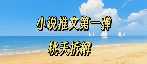 小说推文项目操作全流程第一弹,0粉就能做,门槛低非常适合新手-网创副业教程