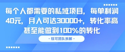 每个人都需要的私域项目,每单利润40米,月入可达3W+,转化率高 甚至能做到100%的转化-网创副业教程