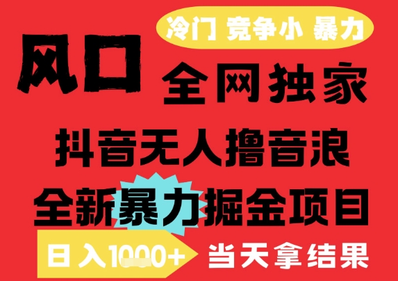 25年6月高爆抖音无人直播最新撸音浪掘金项目,解放双手小白可做,无脑日入1k+,门槛低【揭秘】-网创副业教程