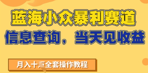 蓝海小众暴利赛道，信息查询，当天见收益，不讲玄学，7天搞了2W+-网创副业教程