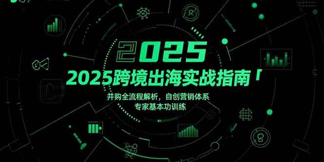 (15503期)2025跨境出海实战指南,并购全流程解析,自创营销体系,专家基本功训练-网创副业教程