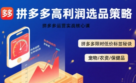 拼多多选品暴利技术实战课,拼多多高利润选品策略,拼多多限时低价标签秘诀-网创副业教程