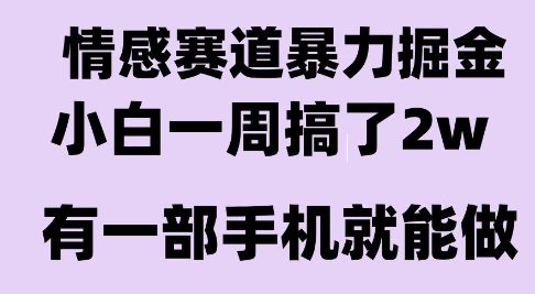 情感暴力掘金项目，新人操作一周挣了2W，长期稳定小白可做【揭秘】-网创副业教程