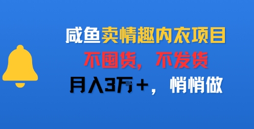 咸鱼卖情趣内衣项目,不囤货,不发货,月入3W+,悄悄做-网创副业教程