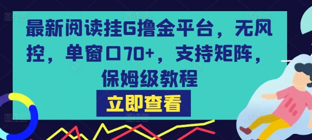 最新阅读挂G撸金平台,无风控,单窗口70+,支持矩阵,保姆级教程【揭秘】-网创副业教程