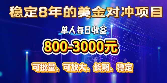 （15782期）稳定8年的美金对冲创业项目，单人每日收益800-3000，小众暴力项目-网创副业教程