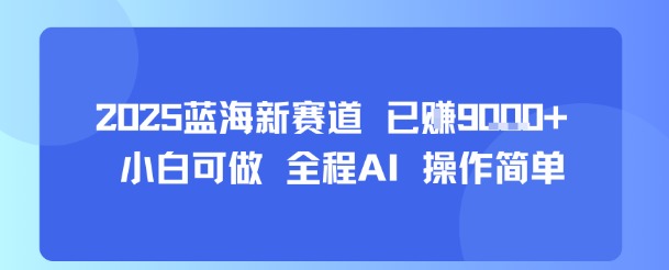 2025蓝海新赛道 已挣9k+ 小白可做 全程AI 操作简单-网创副业教程