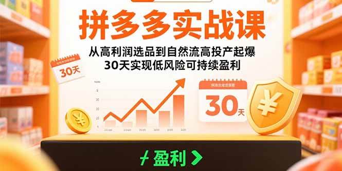 (15586期)拼多多实战课:从高利润选品到自然流高投产起爆 30天实现低风险可持续盈利-网创副业教程