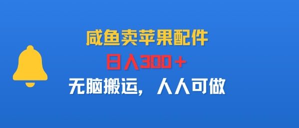 咸鱼卖苹果配件,日入3张+,无脑搬运,人人可做-网创副业教程