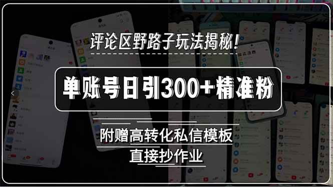 (15466期)评论区野路子玩法揭秘!单账号日引300+精准粉,附赠高转化私信模板,直…-网创副业教程