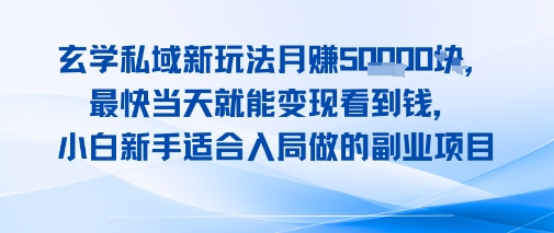 玄学私域新玩法月入1W+，最快当天就能变现看到米，小白新手适合入局做的副业项目-网创副业教程