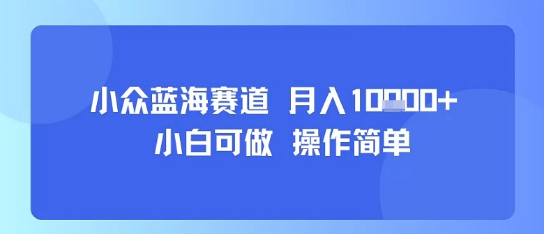 小众蓝海赛道,小白可做,操作简单,每天30分钟,月入1W+-网创副业教程