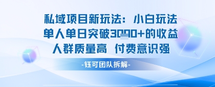 私域项目新玩法小白玩法单人单日突破1k的收益人群质量高付费意识强-网创副业教程
